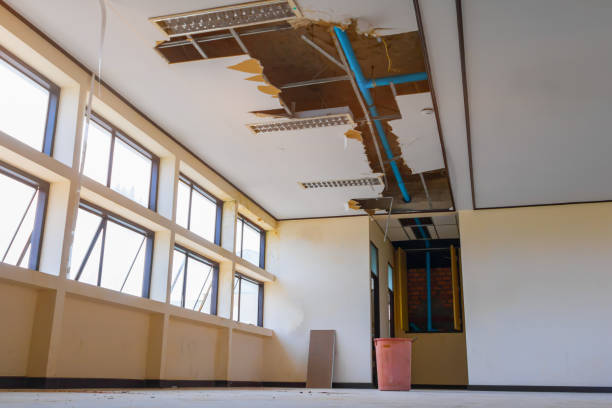 Best Basement water damage restoration  in Lynchburg, OH