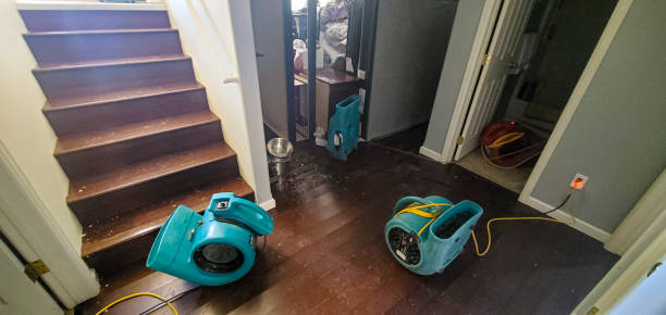  Lynchburg, OH Water damage restoration Pros