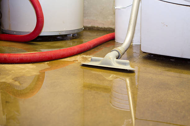 Best Carpet water damage restoration  in Lynchburg, OH