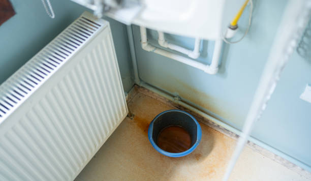 Best Carpet water damage restoration  in Lynchburg, OH